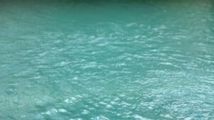 Read more about the article How To Clear Up Cloudy Pool Water