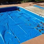 How to Open a Swimming Pool – Detailed Guide