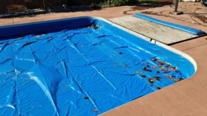 Read more about the article How to Open a Swimming Pool – Detailed Guide