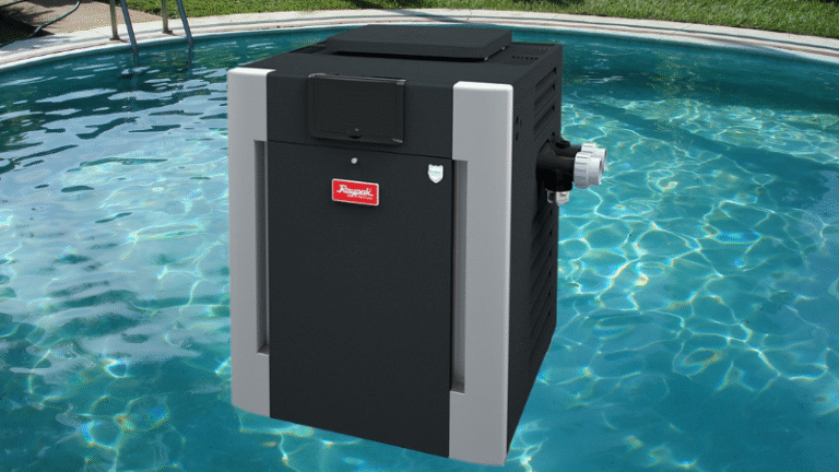 RayPak Digital Heater Review